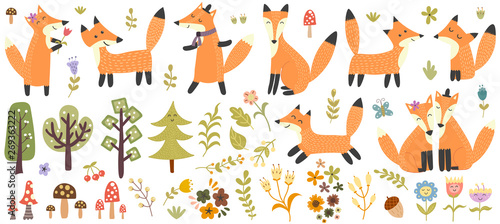 Fototapeta Naklejka Na Ścianę i Meble -  Big set of cute foxes, trees and plants. Forest elements collection