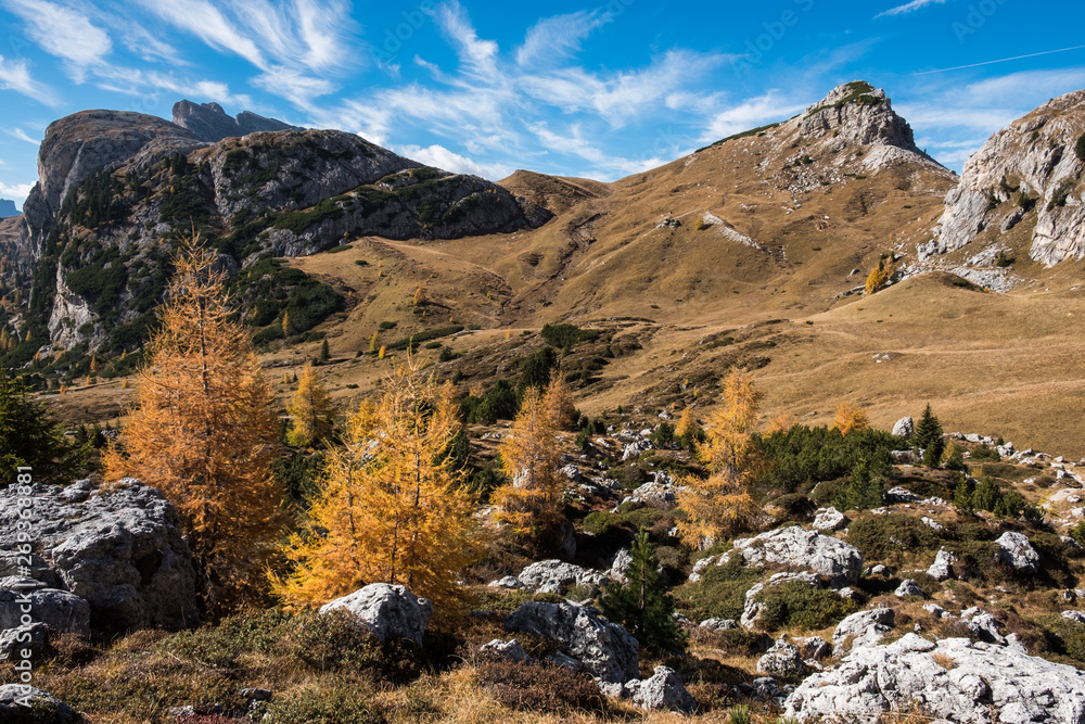 Amazing autumn rural landscape with yellow trees on foreground and mountain hills on background. Dolomite Alps, Italy Amazing autumn rural landscape with yellow trees on foreground and mountain hills on background. Dolomite Alps, Italy