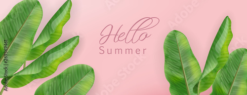 Tropic palm leaves Vector realistic. summer background template cards