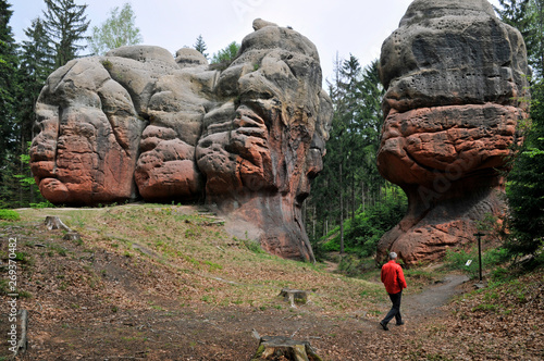 kelchsteine im wald bei oybin im zittauer gebirge photo