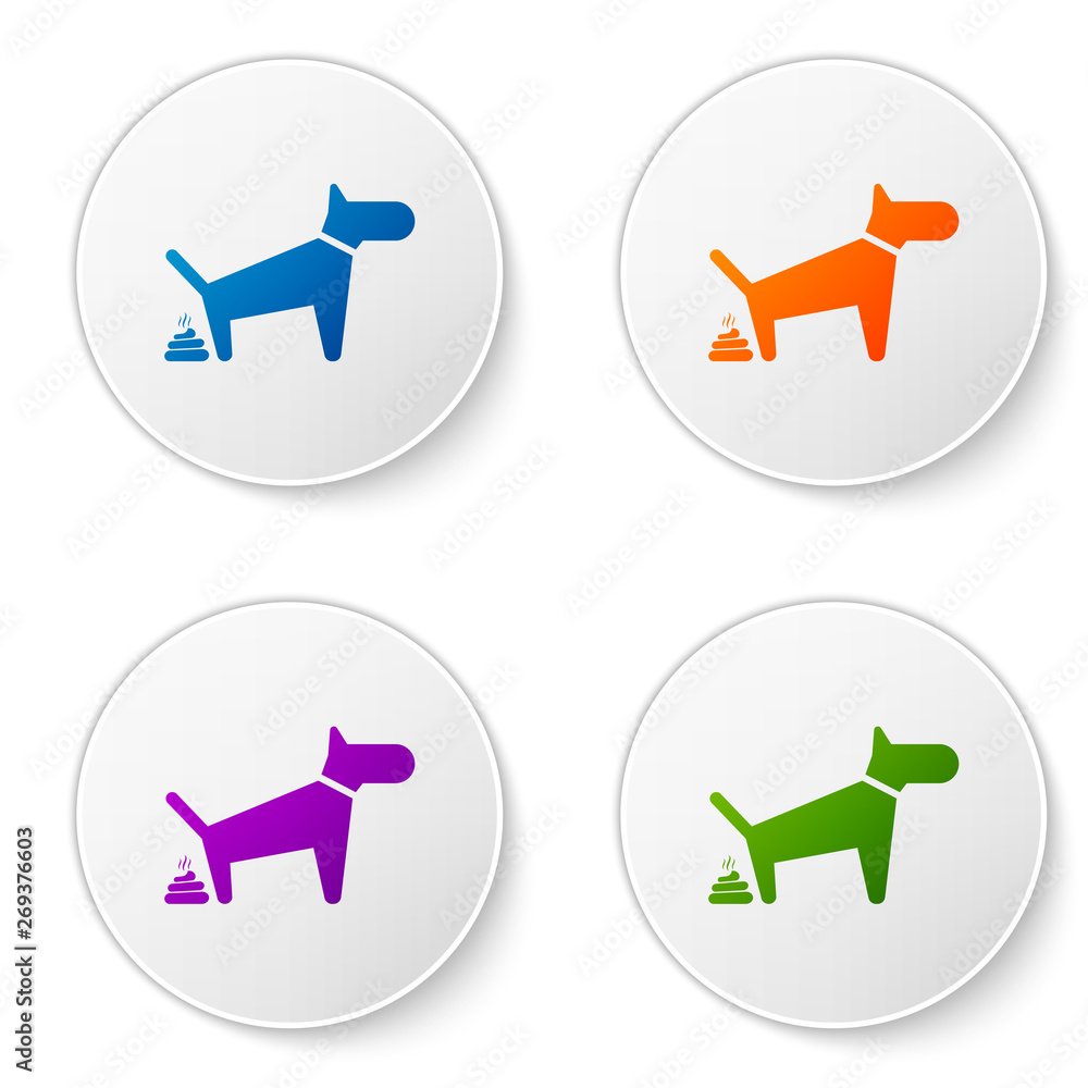 Why Does A Dog Circle Before Pooping