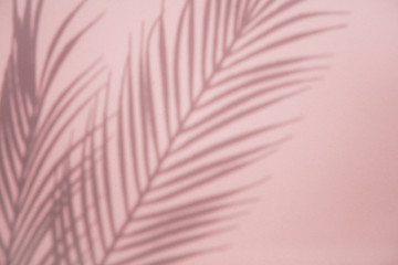 Tropical palm tree leaf shadow on a pastel pink background. Summertime layout