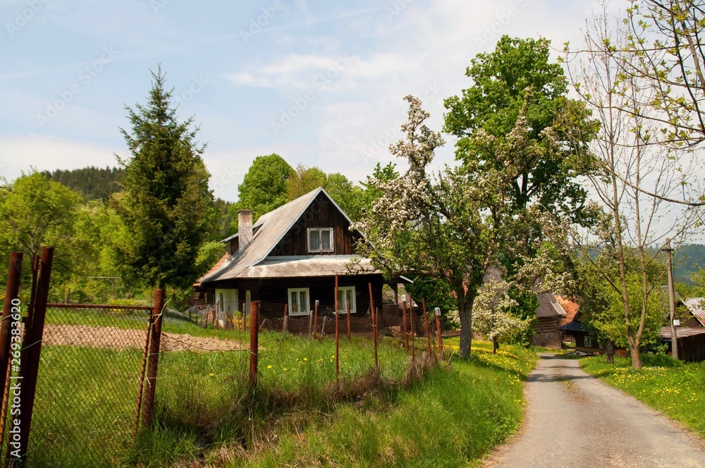 Old wooden house with garden. Old wooden house with garden.