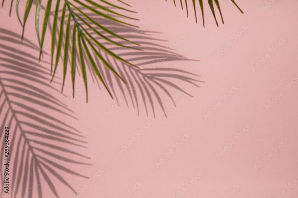 Tropical palm tree leaf shadow on a pastel pink background. Summertime layout Tropical palm tree leaf shadow on a pastel pink background. Summertime layout