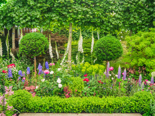 Cuadro en lienzo Beautiful variegated compositions of plants and flowers.