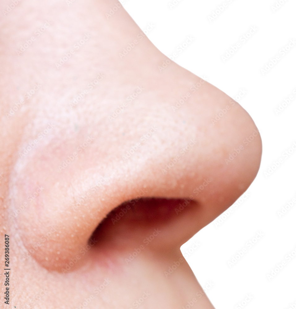 Fototapeta premium Nose on white