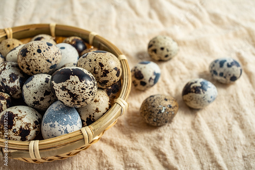 Fresh bird egg quail eggs on burlap background