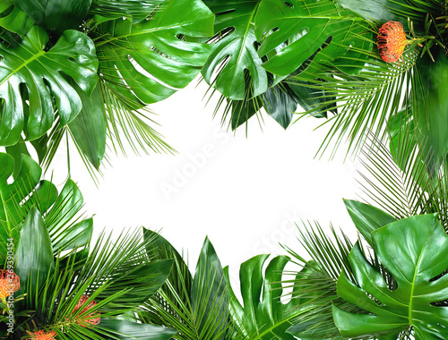 Fototapeta Naklejka Na Ścianę i Meble -  Close up of bouquets of various fresh tropical leaves isolated on white background. Design template. Frame with copy space for text. Top view, flat lay