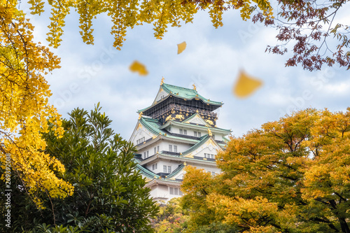 Osaka castle with yellow ginkgo leaves is falling in autumn