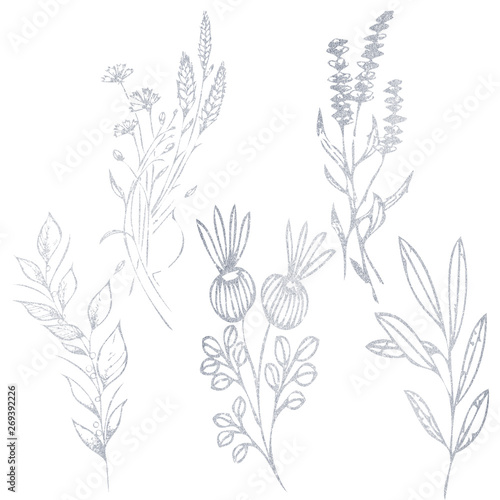 Silver freehand flower branches. Illustration of a flower on a white background.