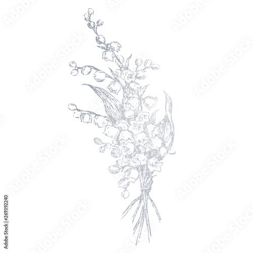 A bouquet of hand-drawn lily of the valley silver. Illustration of a flower on a white background