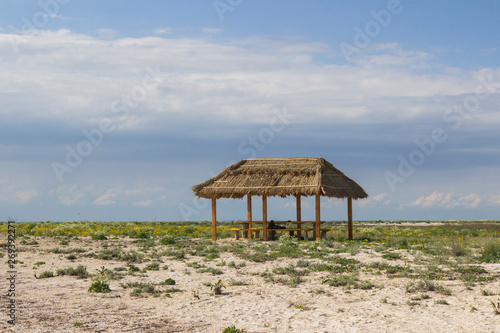 Wooden gazebo with a roof of reeds in the steppe. Blue sky, steppe grass and flowers.