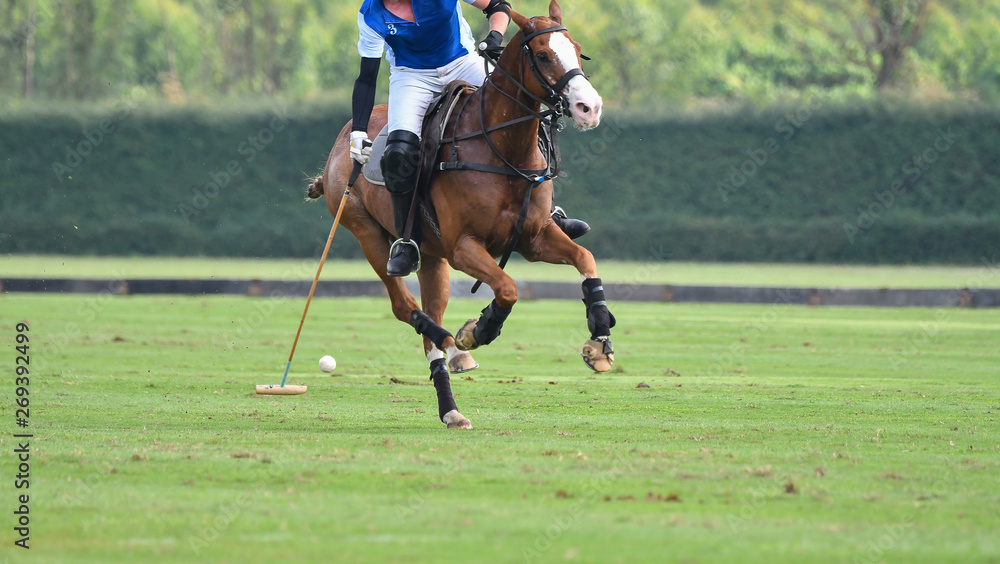 polo player is Riding To Control The Ball. polo player is Riding To Control The Ball.