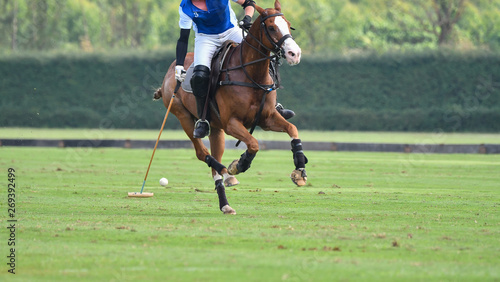 polo player is Riding To Control The Ball.