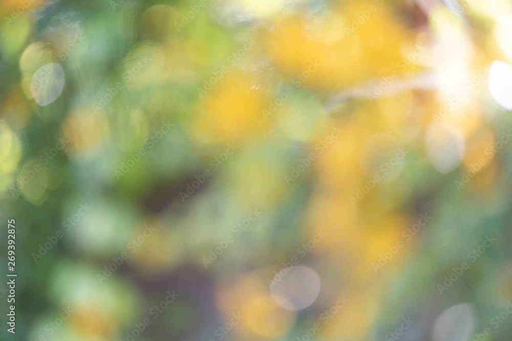 Abstrct defocused colorful green yellow  blurred bokeh background