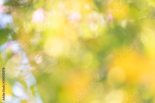 Abstrct defocused colorful green yellow blurred bokeh background