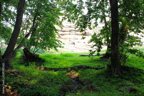 view from the green forest to the stone mountain