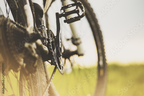 Mountain Bike Chainwheel and Pedal © rawcaptured