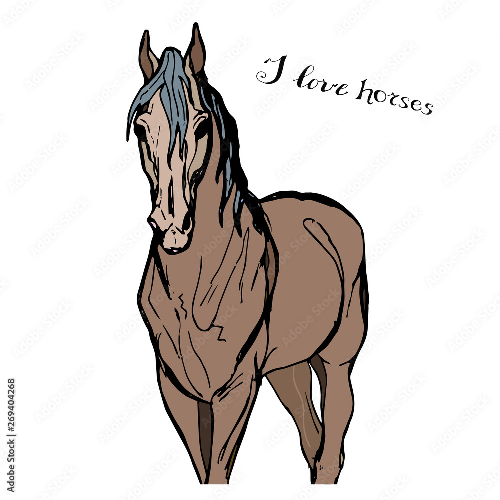 vector-isolated color drawing of a horse standing in FAS with lettering