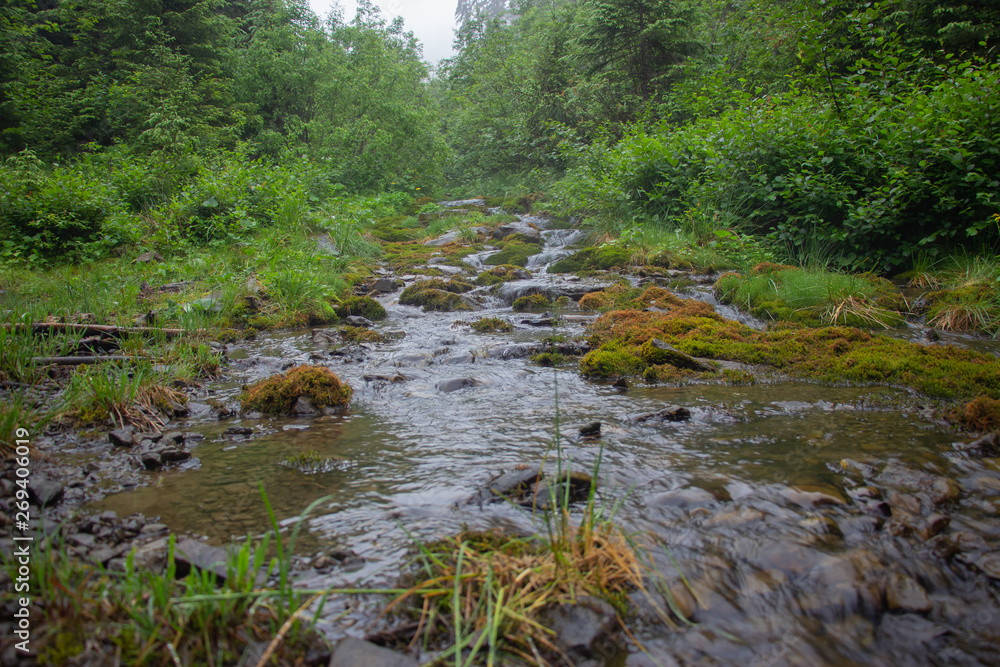 Hiking with a tent through Petros to Hoverla, Lake Nesamovite, Mount Pop Ivan Observatory.