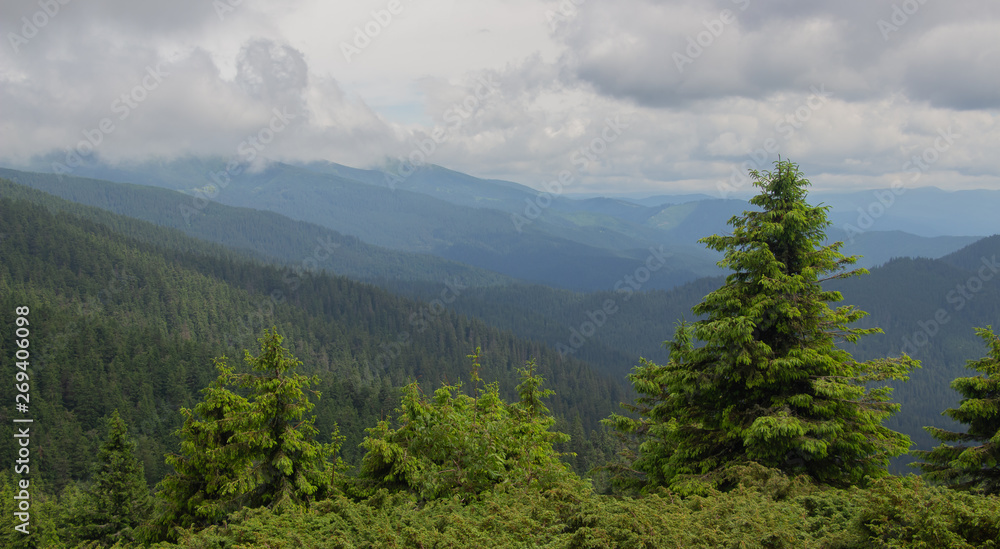 Fototapeta premium Hiking with a tent through Petros to Hoverla, Lake Nesamovite, Mount Pop Ivan Observatory.