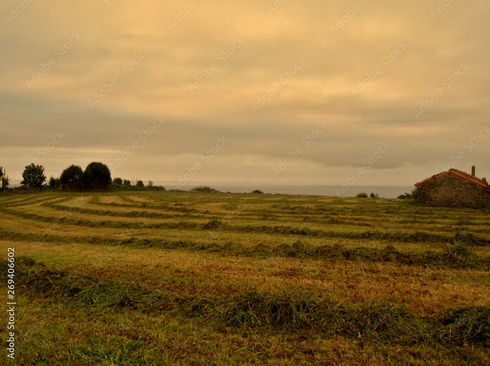 Obraz premium Stone cottage at sunset surronded by green fields and calm sea in the background