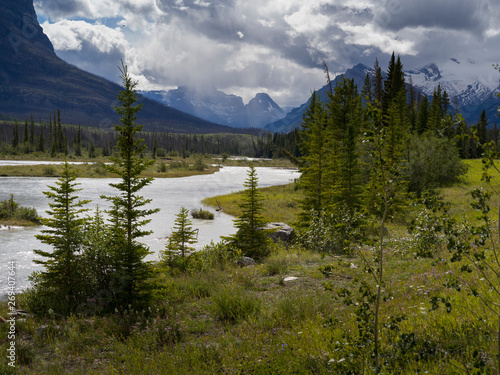 River passing through landscape with mountains in the background, North Saskatchewan River, Icefields Parkway, Jasper, Alberta, Canada