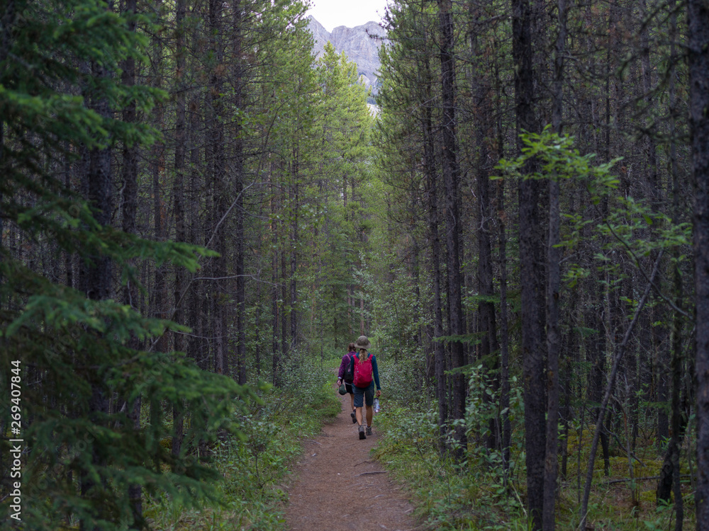 Obraz premium Hikers in forest, Saskatchewan River Crossing, Icefields Parkway, Jasper, Alberta, Canada