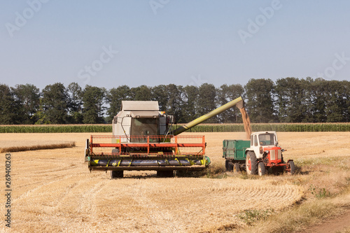 combine harvesting wheat and unloading grains into tractor trailer