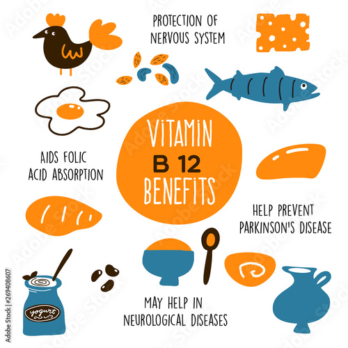 Funny vector cartoon illustration of Vitamin B 12 sources and information about it benefits.