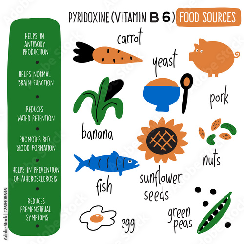Vitamin B 6 food sources,pyridoxine. Vector cartoon illustration and information about health benefits of vitamin B 6. Infographic poster.