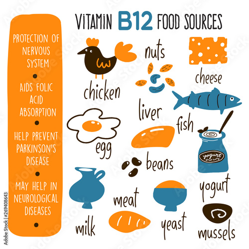 Vector cartoon illustration of VitaminB 12 sources and information about it benefits. Infographic poster.