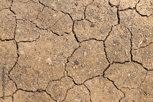 dry cracked earth background