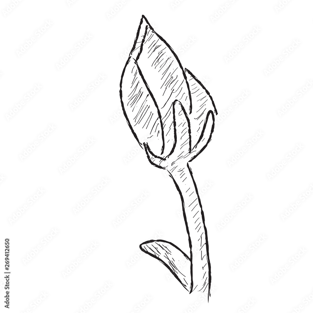 Isolated sketch of a flower on a white background - Vector Isolated sketch of a flower on a white background - Vector