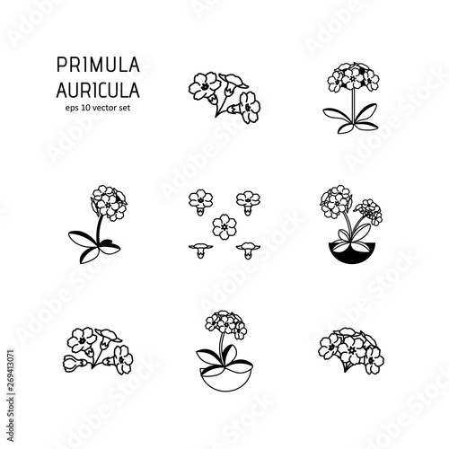 Primula - vector icons set.