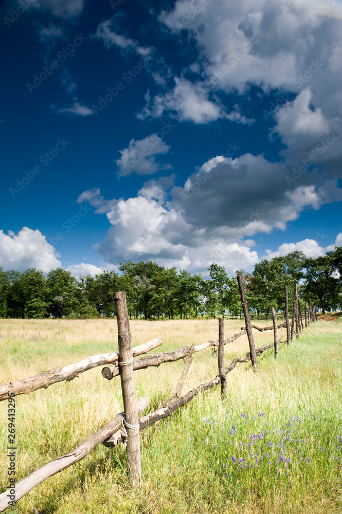 Rural landscape Rural landscape