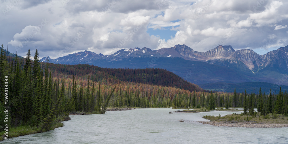 River flowing through forest with mountains in the background, Athabasca River, Icefields Parkway, Jasper, Alberta, Canada