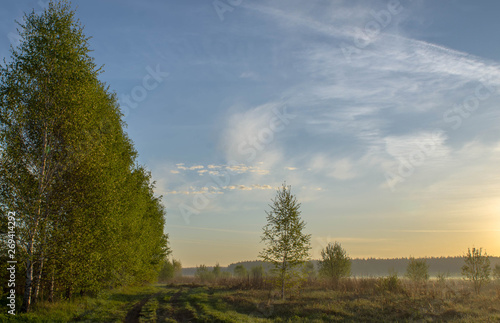 Gentle  spring pastoral landscape of a rural road at sunrise with a foggy perspective