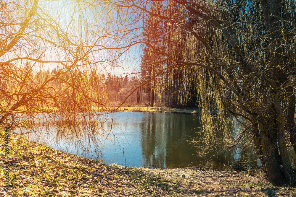 Obraz premium Romantic autumn mood at sunset on the lake. Autumn background