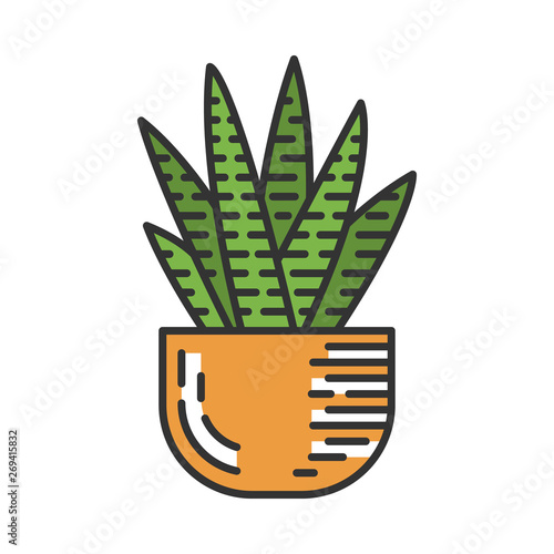 Zebra cactus in pot color icon