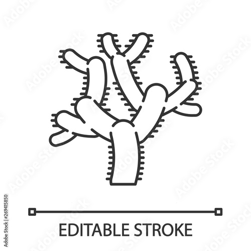 Teddy bear cholla cactus linear icon