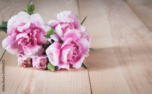 beautiful blooming carnation flower on a wood background © stockphotopluak