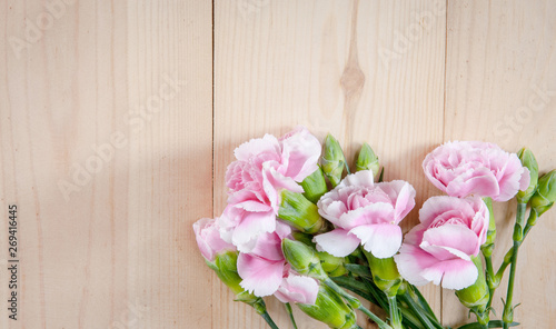 beautiful blooming carnation flower on a wood background