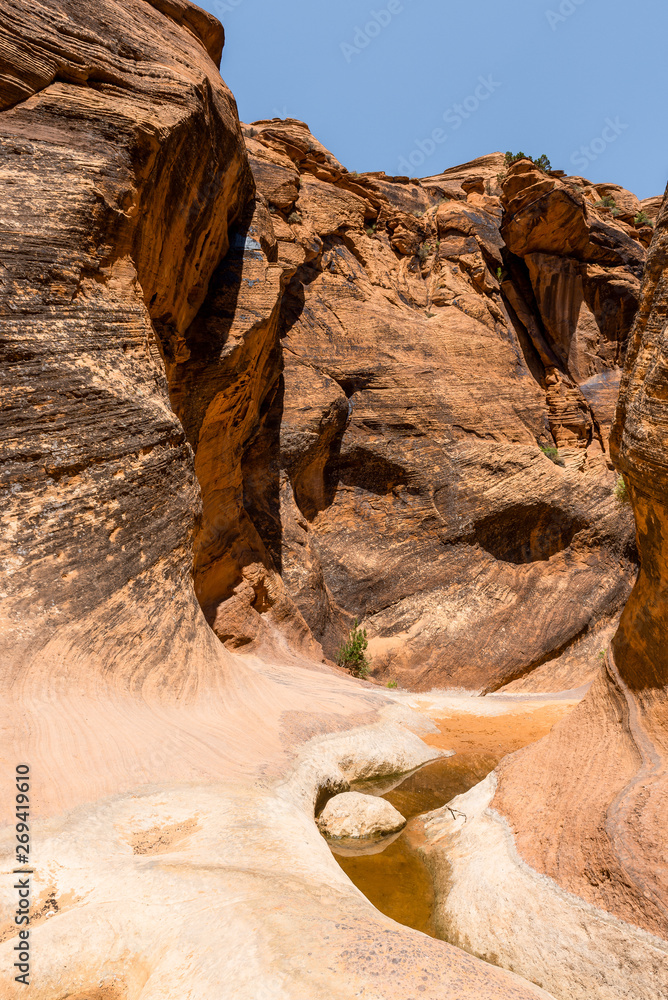 Red Reef trail in Red Cliffs Recreation Area, Utah, USA Red Reef trail in Red Cliffs Recreation Area, Utah, USA