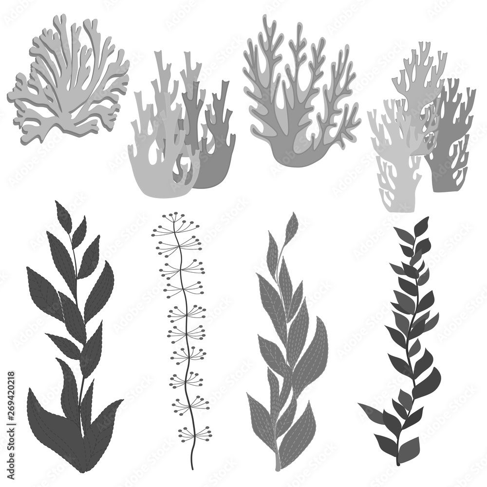 Collection of marine plants, leaves and seaweed ,coral. Vintage set of ...