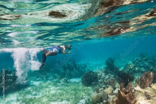 Fototapeta Naklejka Na Ścianę i Meble -  Man snorkeling, Turneffe Atoll, Belize Barrier Reef, Belize