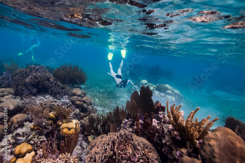 Tourists snorkeling, Turneffe Atoll, Belize Barrier Reef, Belize