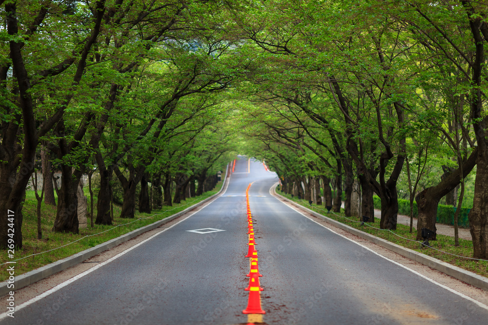 a beautiful road with no one in it a beautiful road with no one in it