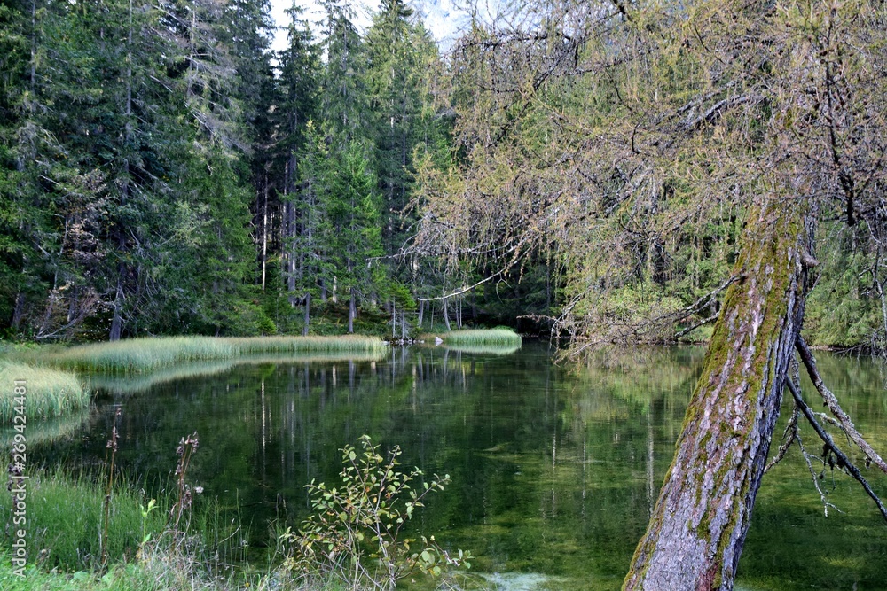 Pfarrteich bei Tragöß (Steiermark, Austria) Pfarrteich bei Tragöß (Steiermark, Austria)