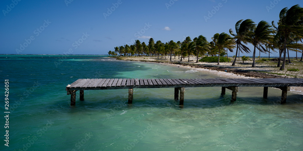 Pier and palm trees on the beach, Half Moon Caye, Lighthouse Reef Atoll, Belize